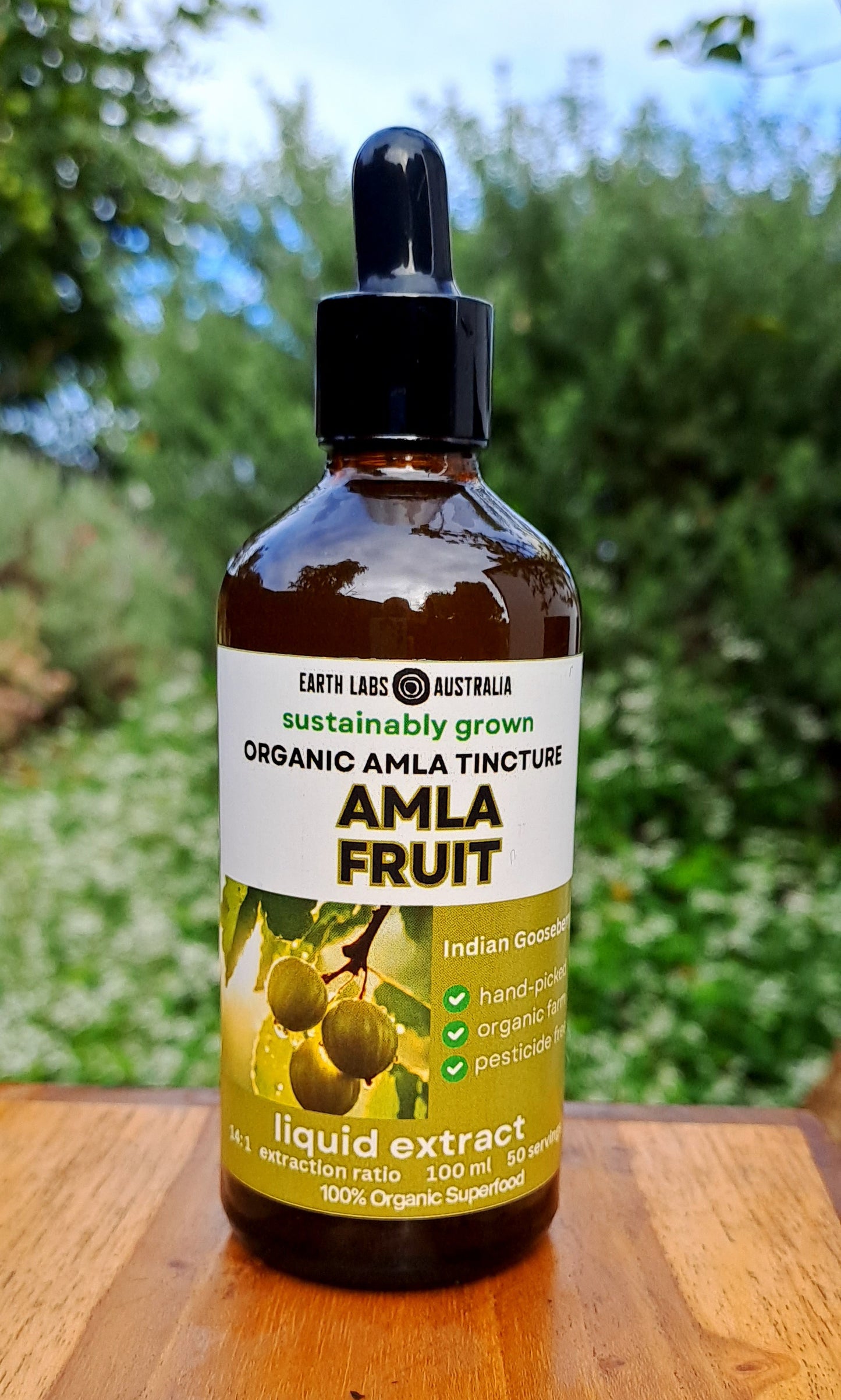 5 Bottles Amla Tincture 100 ml (Wholesale)
