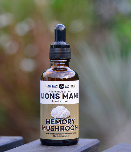 1 Bottle Lion's Mane Mushroom Tincture 50 ml