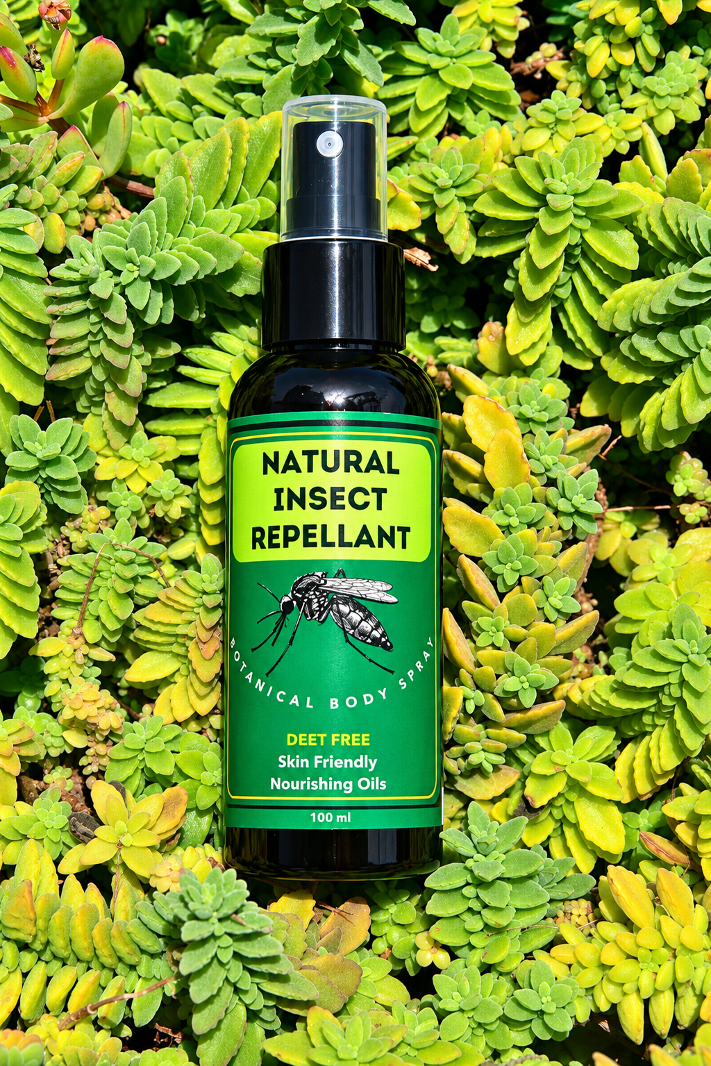 6 Bottles Natural Insect Repellant 100 ml Botanical Body Spray (Wholesale)