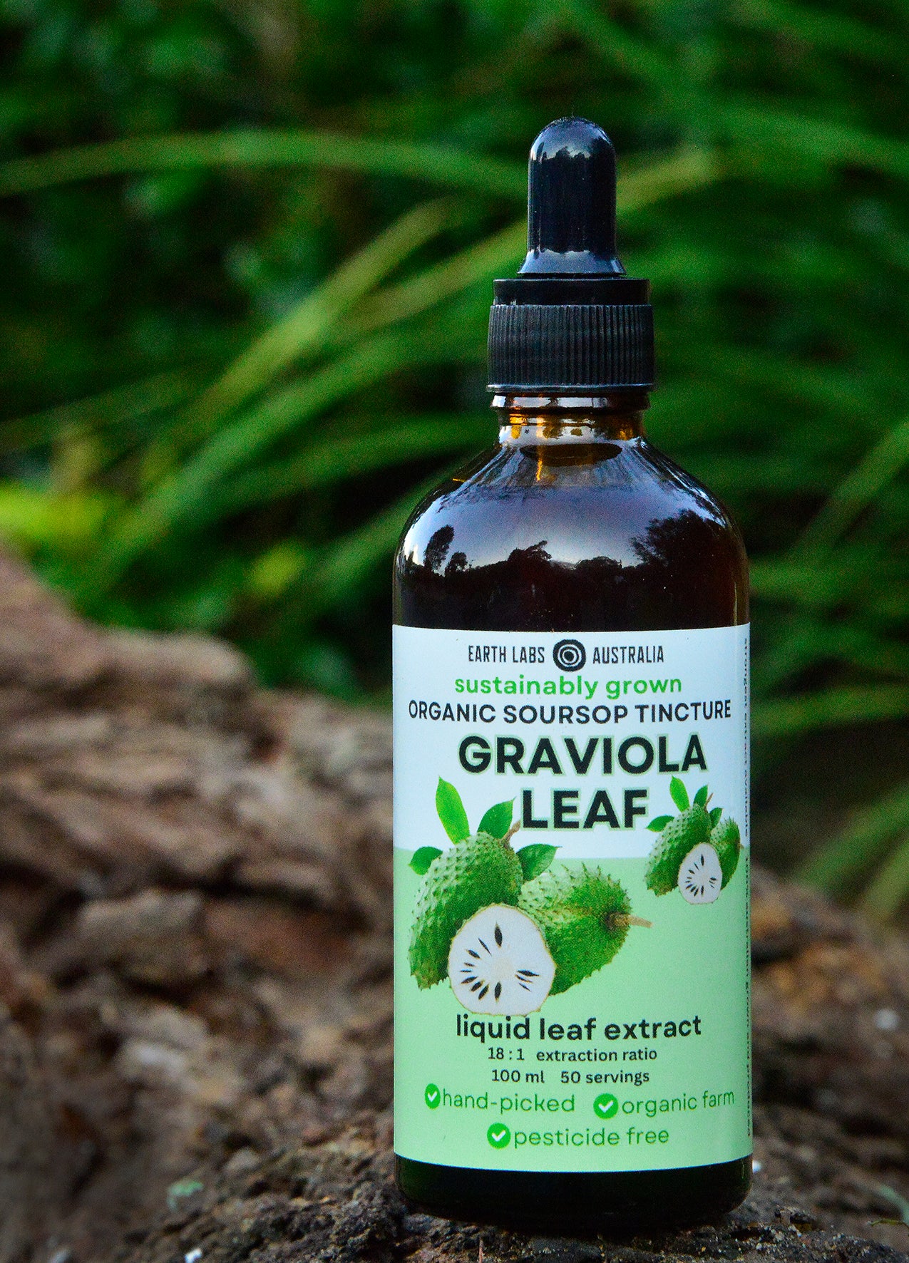 5 Bottles Graviola Leaf Herbal Tincture 100 ml (Wholesale)