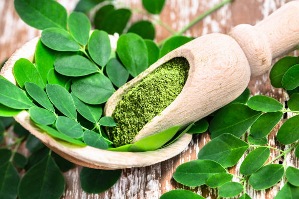 6 Bottles Moringa Tincture 100 ml (Wholesale)