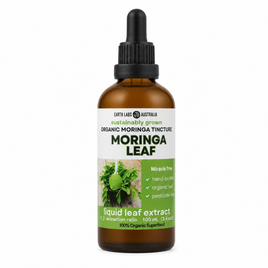 1 Bottle Moringa Tincture 100 ml