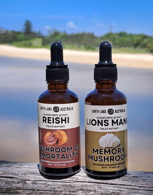 Mind and Body Mushroom Tincture Double Pack ( 2 x 50 ml )